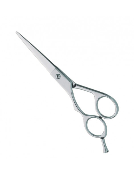 Professional hair Cutting Scissors