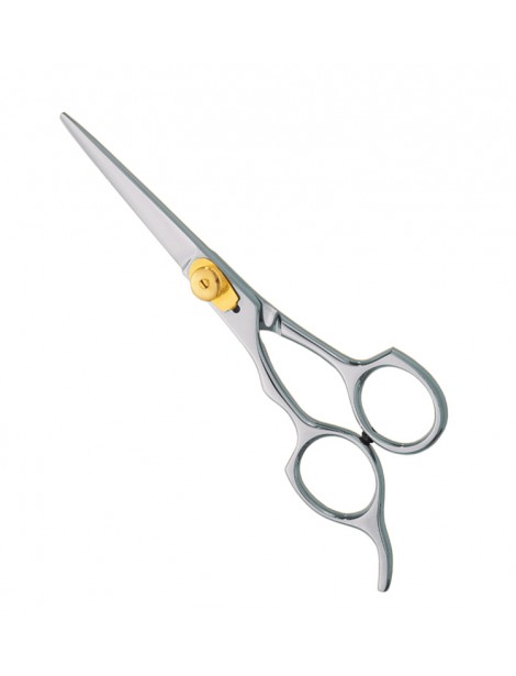 Professional hair Cutting Scissors