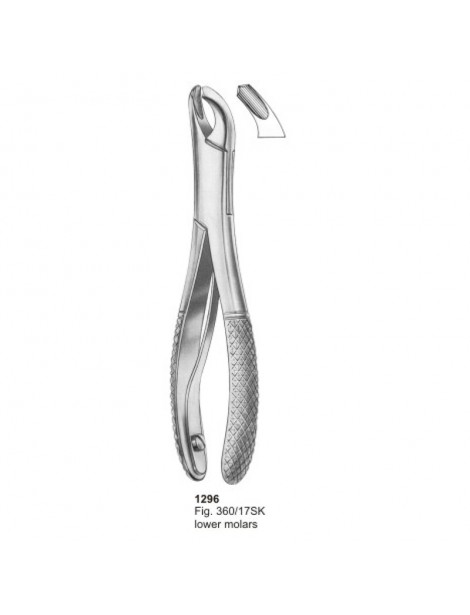 Extracting Forceps